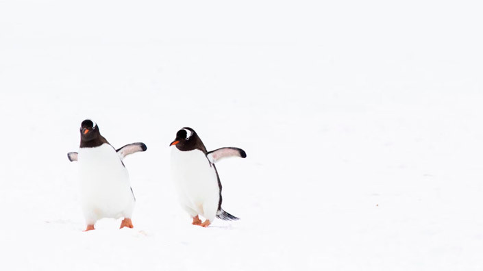 @Unsplash