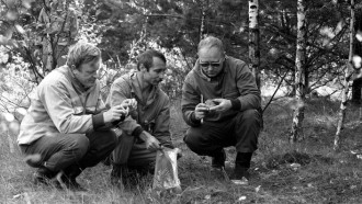1 сентября 1993 года. Постоянно ведут исследования на радиоактивность грибов в зараженной чернобыльской зоне ученые Института леса АН Беларуси. Научные сотрудники за сбором грибов в Ветковском районе. Фото Сергея Холодилина.
