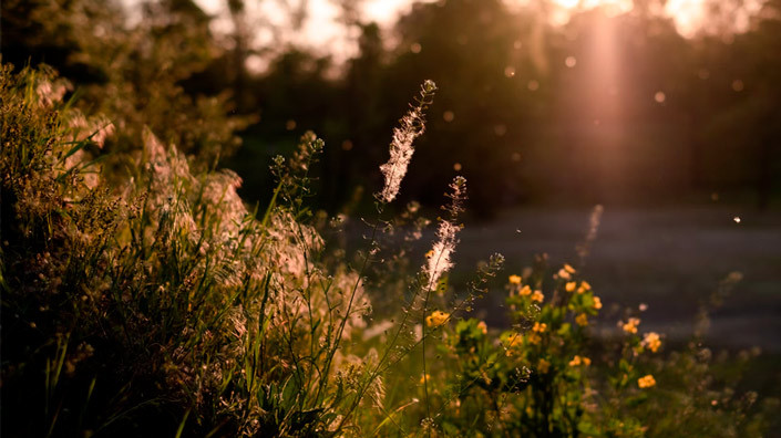 @Unsplash