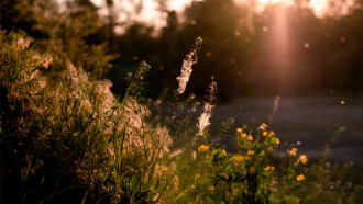 @Unsplash