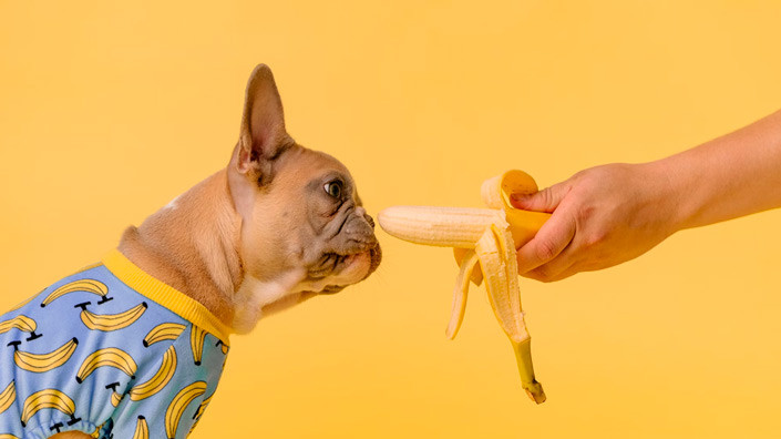 @Unsplash
