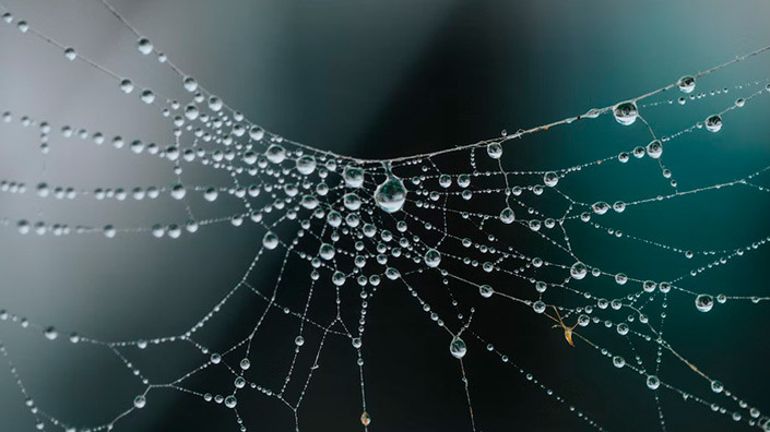 @Unsplash