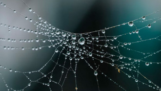 @Unsplash
