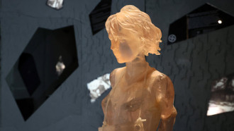 Фото Максима Гучека