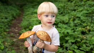 Фото Олега Фойницкого
