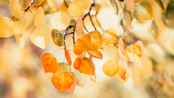 @Unsplash
