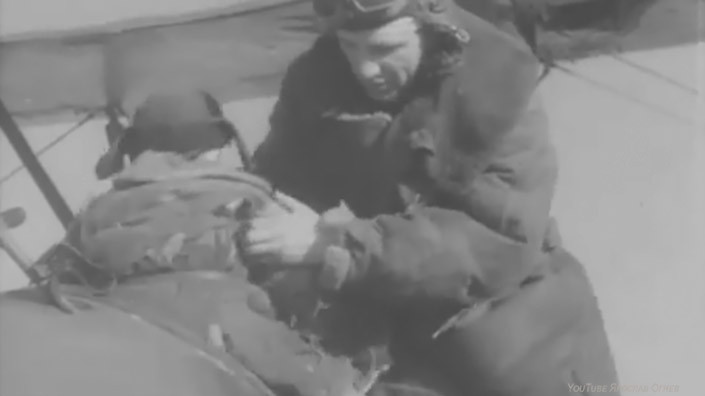 Скриншот видео