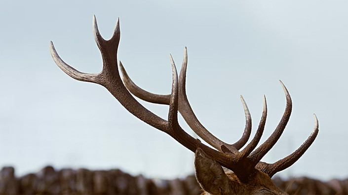 @Unsplash