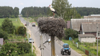 Фото БЕЛТА