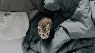 @Unsplash