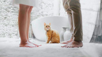 Фото: Shutterstock