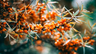 @Unsplash