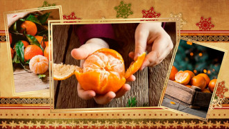 Фото из открытых интернет-источников