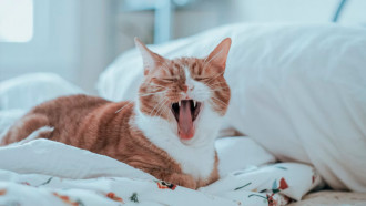 @Unsplash