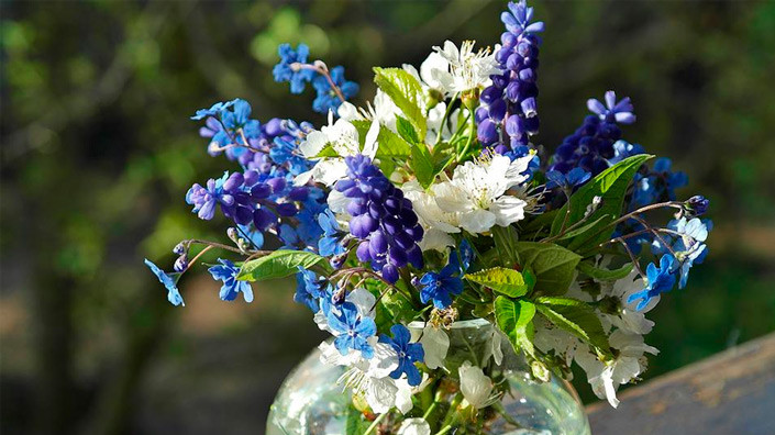 @Pixabay