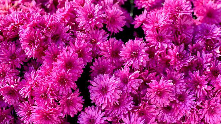 @Unsplash