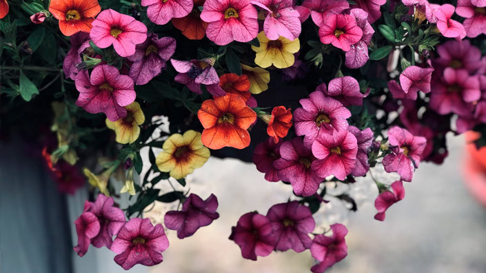 @Unsplash