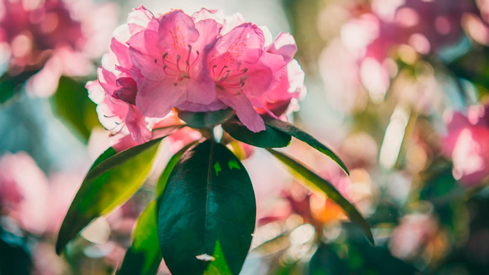 @Unsplash