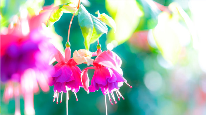 @Unsplash
