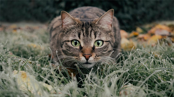 @Unsplash
