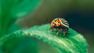 @Unsplash