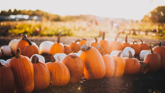 @Unsplash