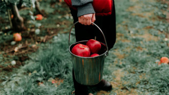 @Unsplash