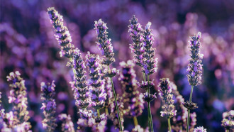 @Unsplash