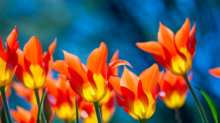 @Unsplash