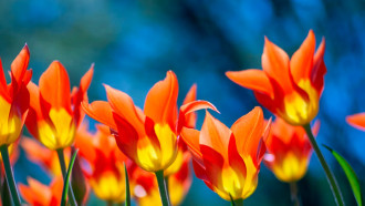 @Unsplash