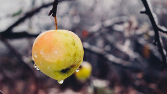 @Unsplash