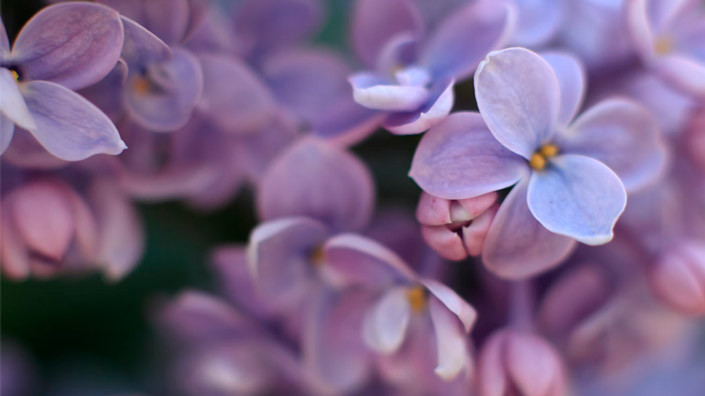 @Unsplash