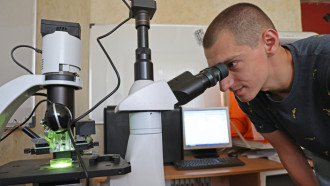 Молодые ученые Института тепло- и массообмена изучают наномир микроскопами собственной разработки