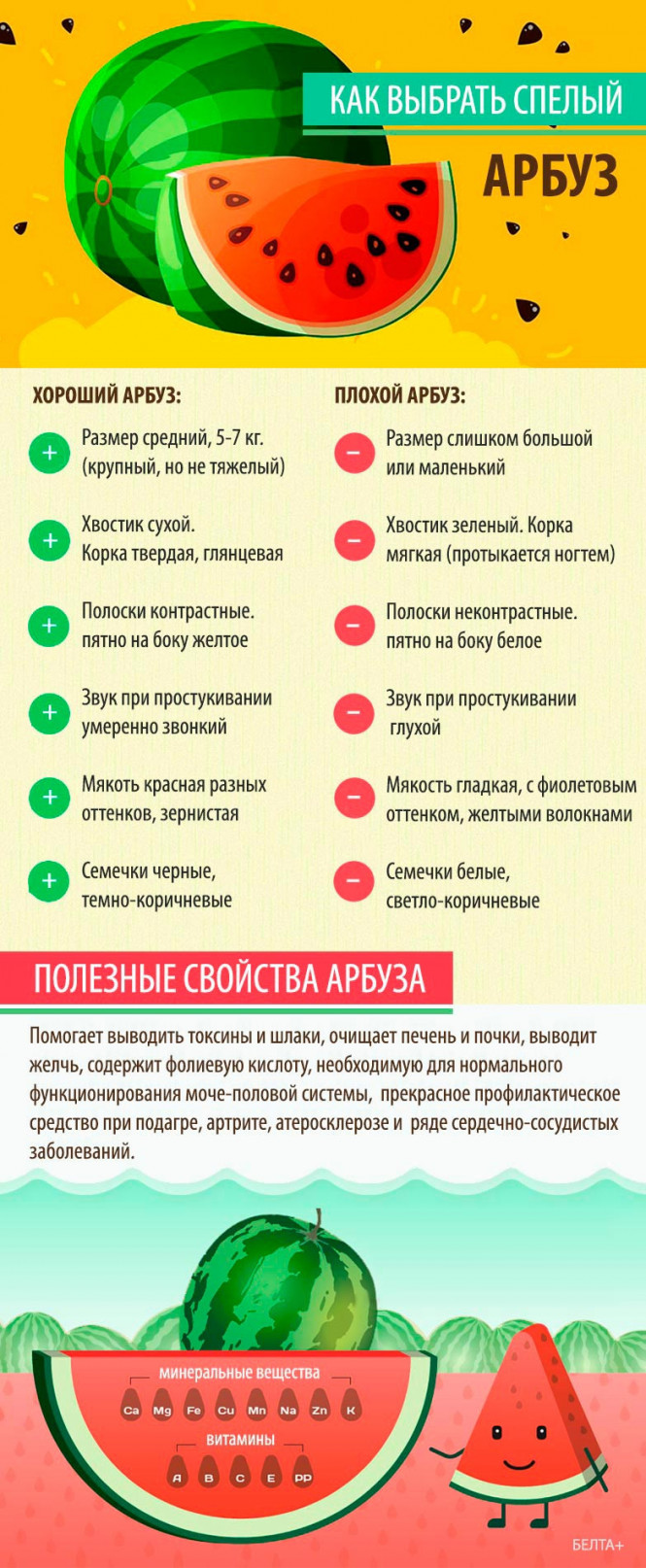 
 Как выбрать спелый арбуз
  
   
 
