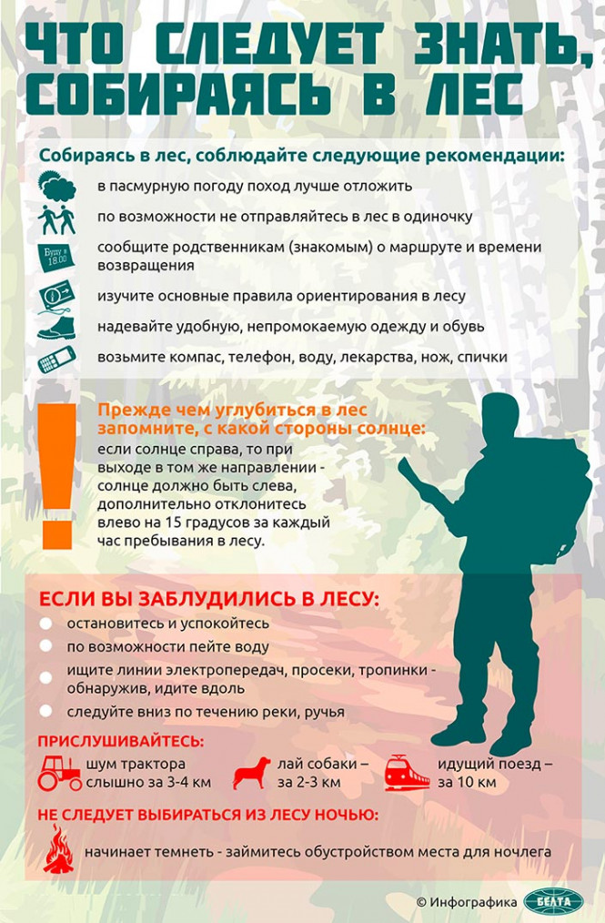 
 Что следует знать, собираясь в лес
  
   
 