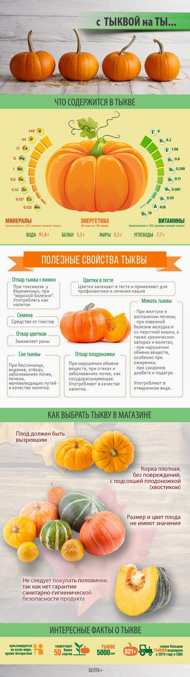 
 С ТЫКВОЙ на ТЫ...   
  
   
 