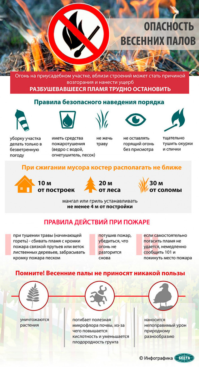 
 Опасность весенних палов
  
   
 