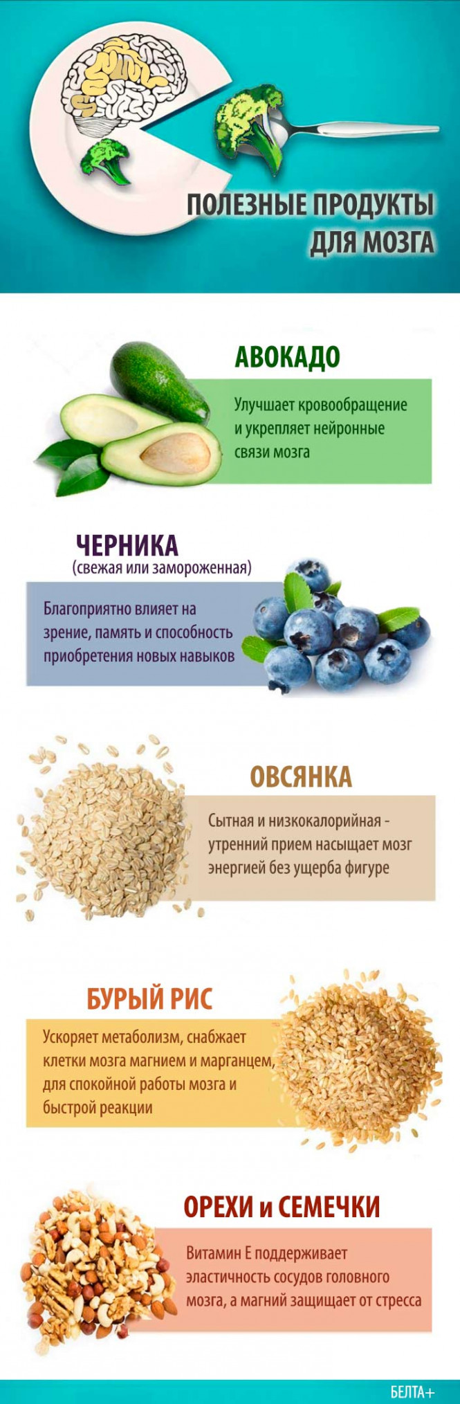 
 Полезные продукты для мозга
  
   
 