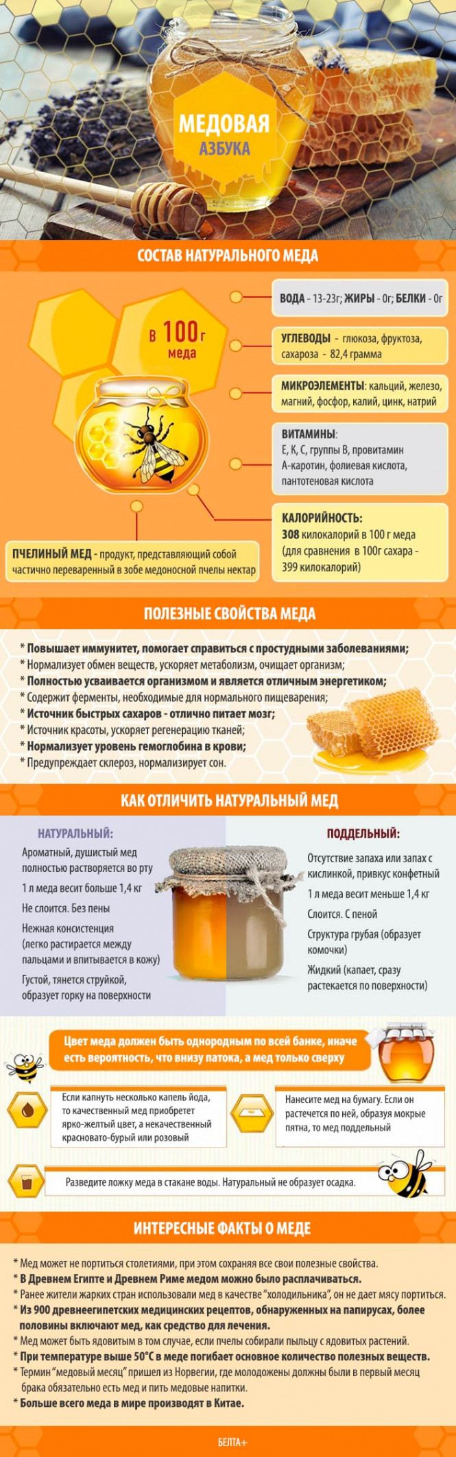 
 МЕДовая азбука
  
   
 