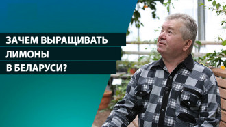 Почему цитрусовод не ест лимоны? Узнали, как в Ботаническом саду растят экзотику
