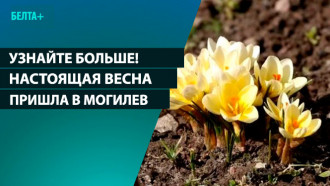 Настоящая весна пришла в Могилев 
