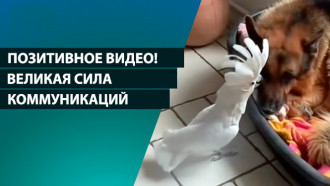 Великая сила коммуникаций! 